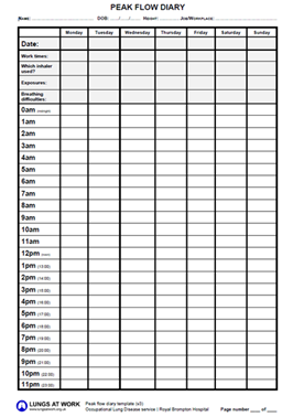 Peak flow diary