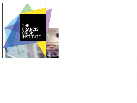 Francis Crick Institute logo - Jo Feary spoke at the Society of Occupational Medicine’s meeting held at the Francis Crick Institute in London, 11 July 2019