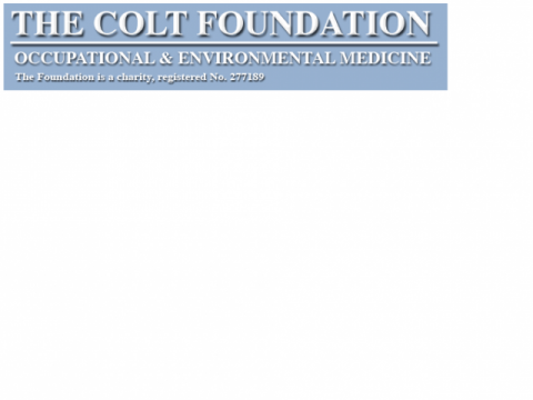 Colt Foundation logo - Jennifer Canizales is awarded a PhD Fellowship from the Colt Foundation