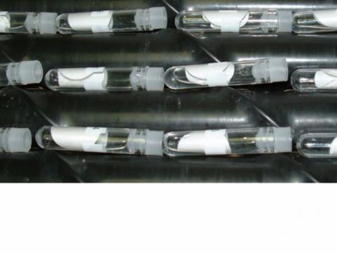 Generic image of laboratory test tubes